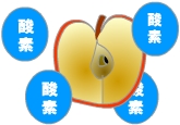黄ばみの原因は酸素