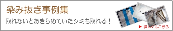 しみ抜き事例